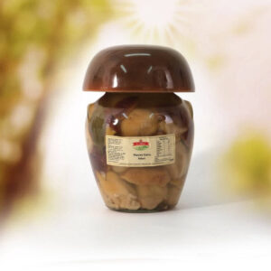 Funghi porcini extra interi